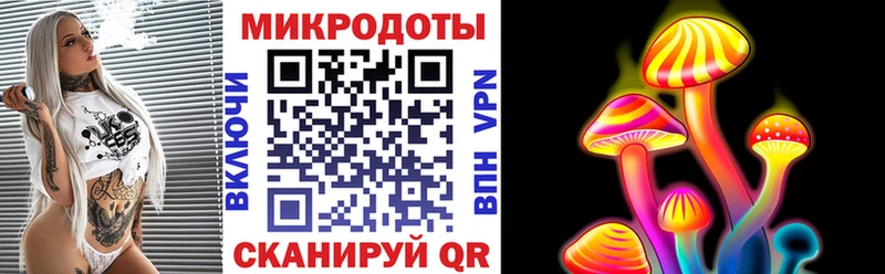 Псилоцибиновые грибы мицелий Дзержинск