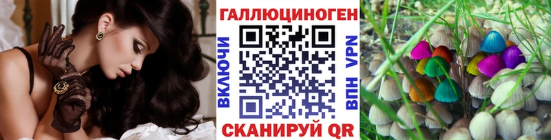 Галлюциногенные грибы Psilocybe  Купить закладки  Дзержинск 